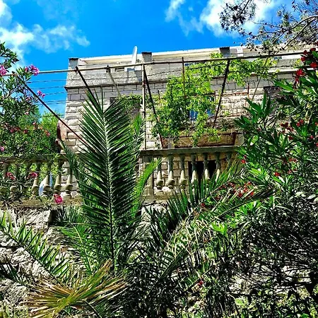 Kralj Mljet * Saplunara
