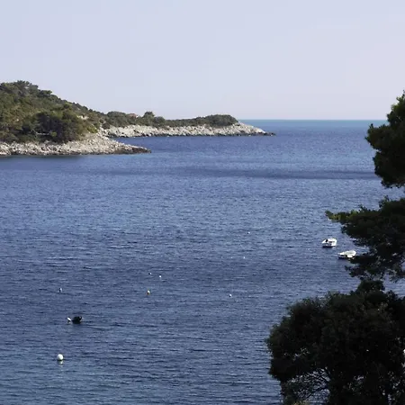 Kralj Mljet