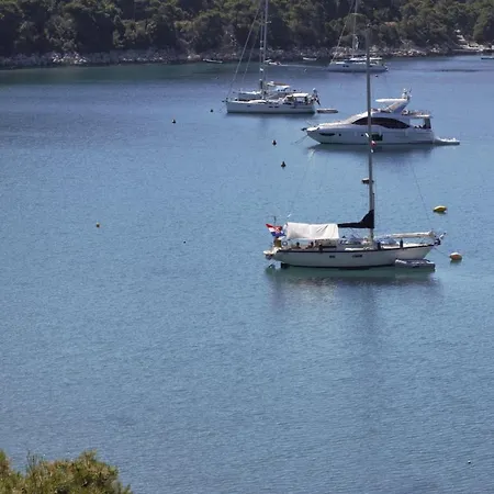 Kralj Mljet Lejlighed