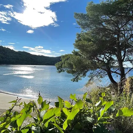 Lejlighed Kralj Mljet