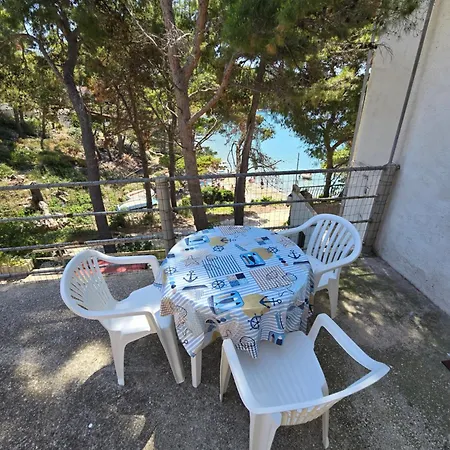 Kralj Mljet *