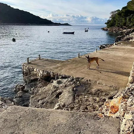 Kralj Mljet * Saplunara