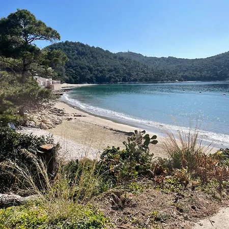 Kralj Mljet Appartement
