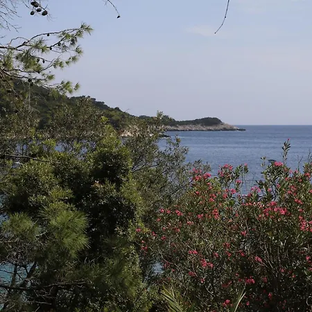 Kralj Mljet شقة