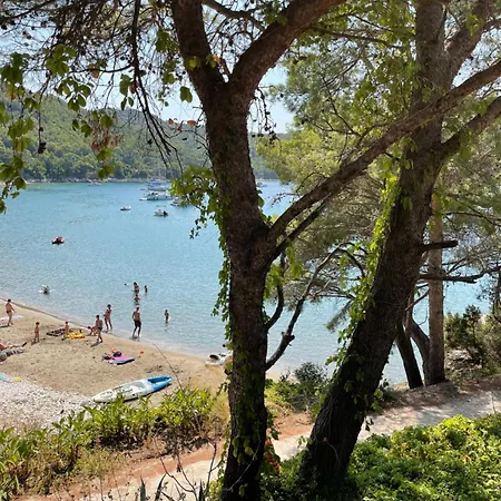 Kralj Mljet